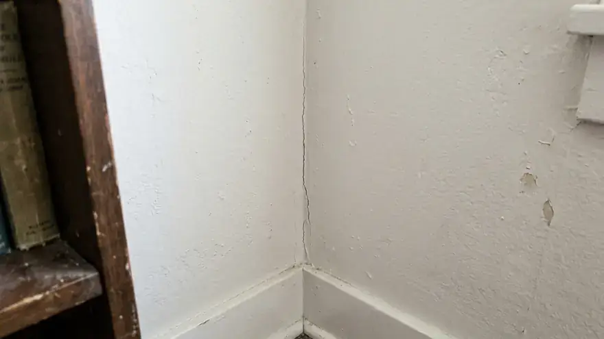 Eigentümerin fotografiert mit dem Handy einen dunklen Fleck an der Wohnzimmerwand